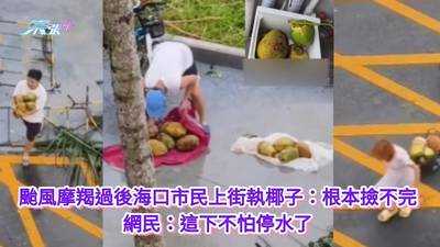 有片｜颱風摩羯過後海口市民上街執椰子：根本撿不完 網民：這下不怕停水了