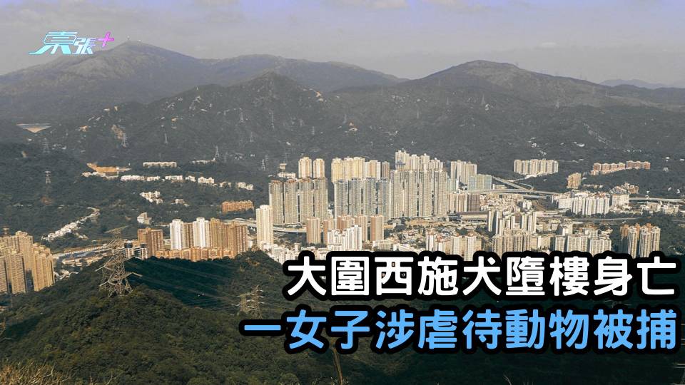 大圍西施犬墮樓身亡  懷疑事件涉及人為  一女子涉虐待動物被捕