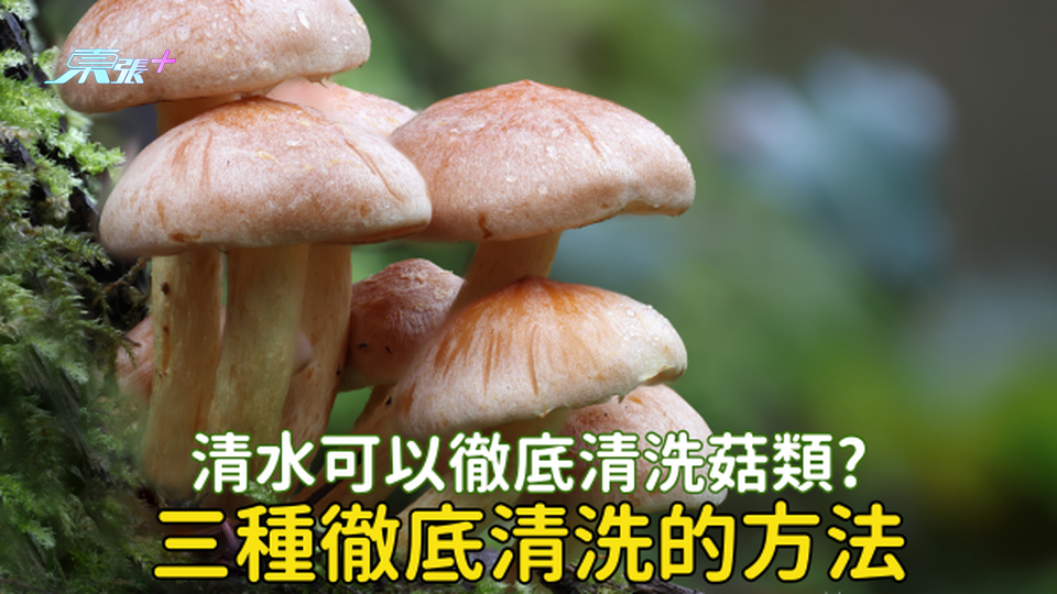 用清水洗菇等於食蟲落肚？3種菇類必需清洗 專家分享3招 #至識健康