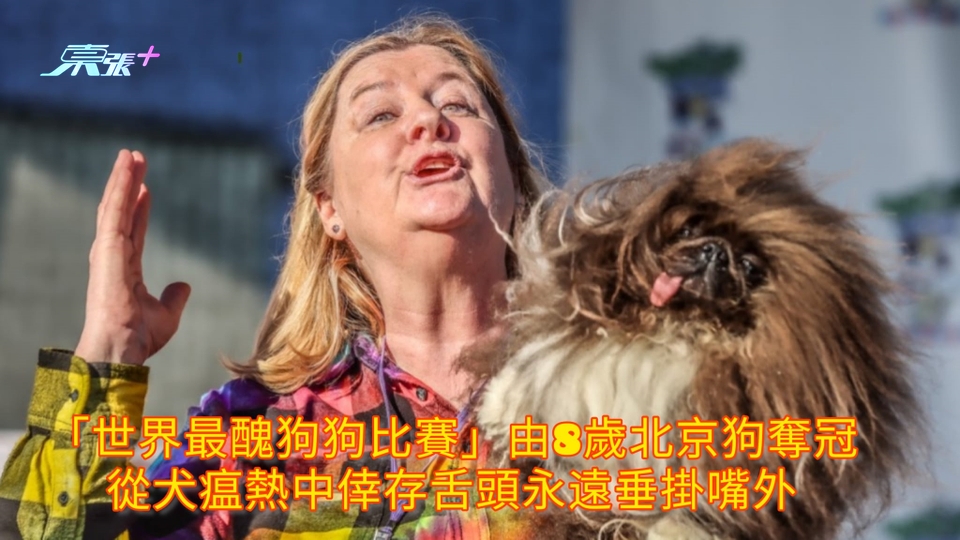 「世界最醜狗狗比賽」由8歲北京狗奪冠 從犬瘟熱中倖存舌頭永遠垂掛嘴外