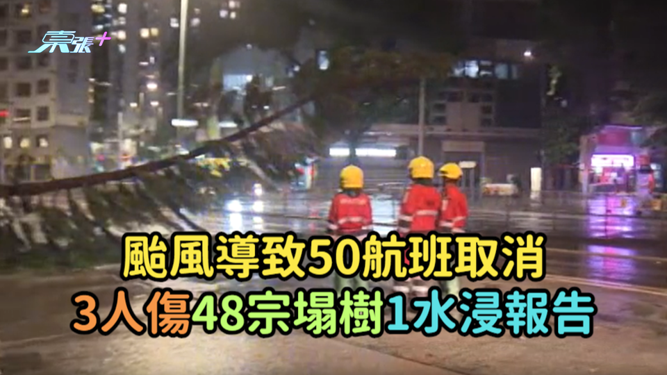 摩羯襲港｜颱風導致50航班取消 3人傷48宗塌樹1水浸報告