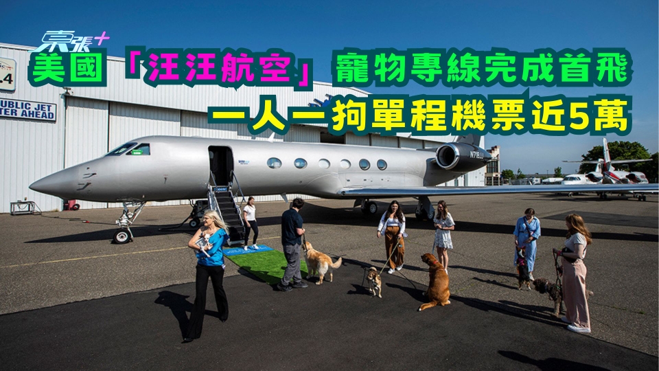 有片 | 主人福音！美國「汪汪航空」寵物專線完成首飛 一人一狗單程機票近5萬