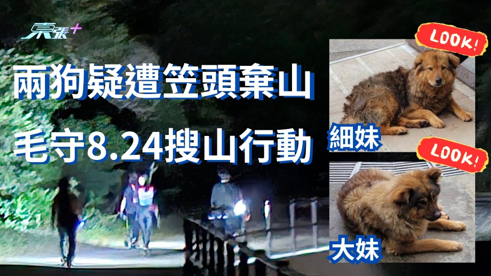 虐待動物｜寶蓮寺職員後山棄狗 動物組織8.24徹底搜山 8人一隊