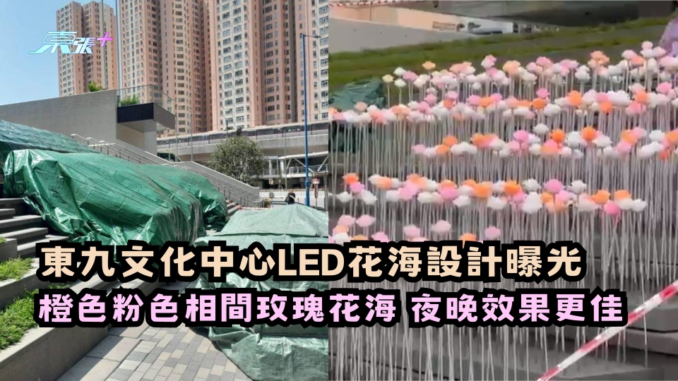 有片 | 東九文化中心LED花海設計曝光 橙色粉色相間的玫瑰花海 夜晚效果更佳