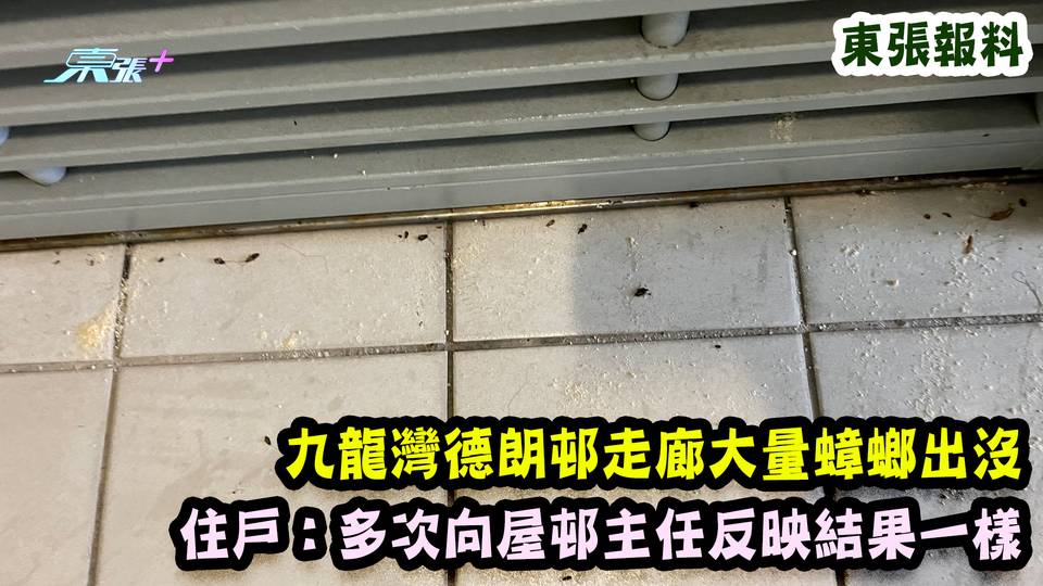 東張報料｜九龍灣德朗邨走廊大量蟑螂出沒 住戶：多次向屋邨主任反映結果一樣