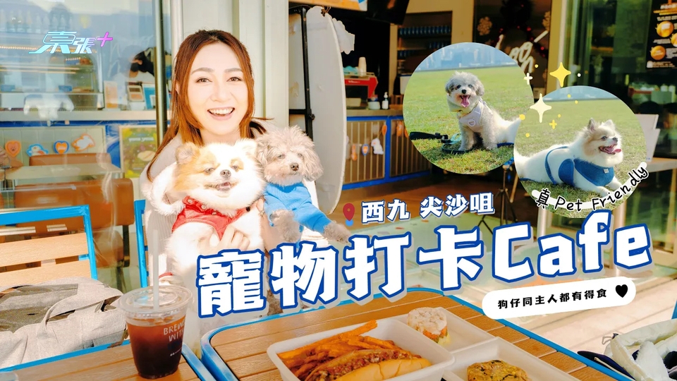 【狗狗九龍好去處】精選2間寵物打卡Cafe🐶 #西九超大狗公園 狗狗草地狂奔 #夠鐘開飯