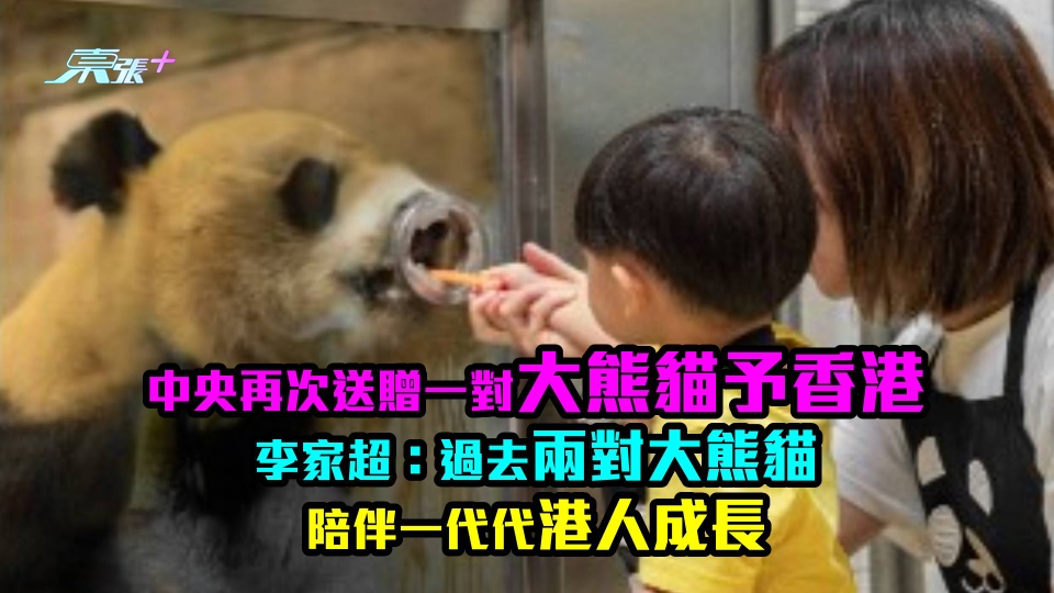 中央再次送贈一對大熊貓予香港　李家超：過去兩對大熊貓陪伴一代代港人成長