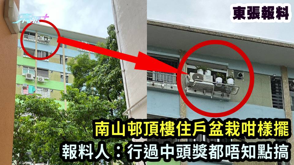 東張報料｜南山邨頂樓住戶盆栽咁樣擺 報料人：行過中頭獎都唔知點搞