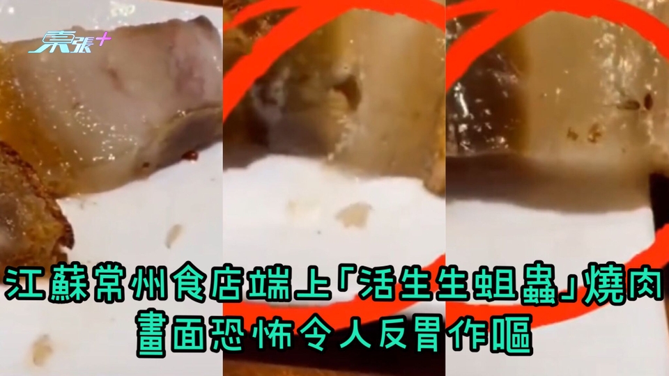 有片｜江蘇常州食店端上「活生生蛆蟲」燒肉 畫面恐怖令人反胃作嘔