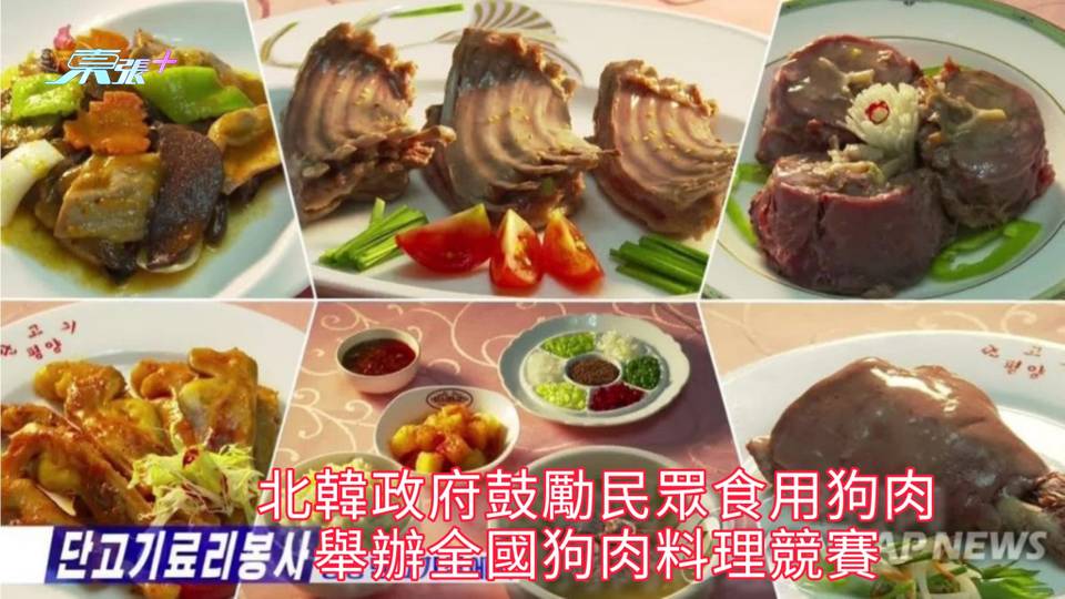 北韓政府鼓勵民眾食用狗肉 舉辦全國狗肉料理競賽