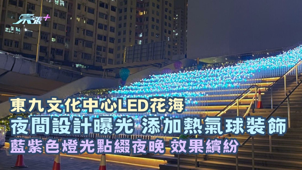 東九文化中心LED花海 | 夜間設計曝光 藍紫色燈光點綴夜晚 效果繽紛
