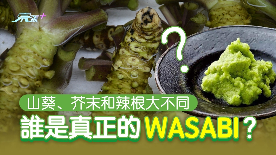 山葵、芥末和辣根大不同  誰是真正的WASABI？