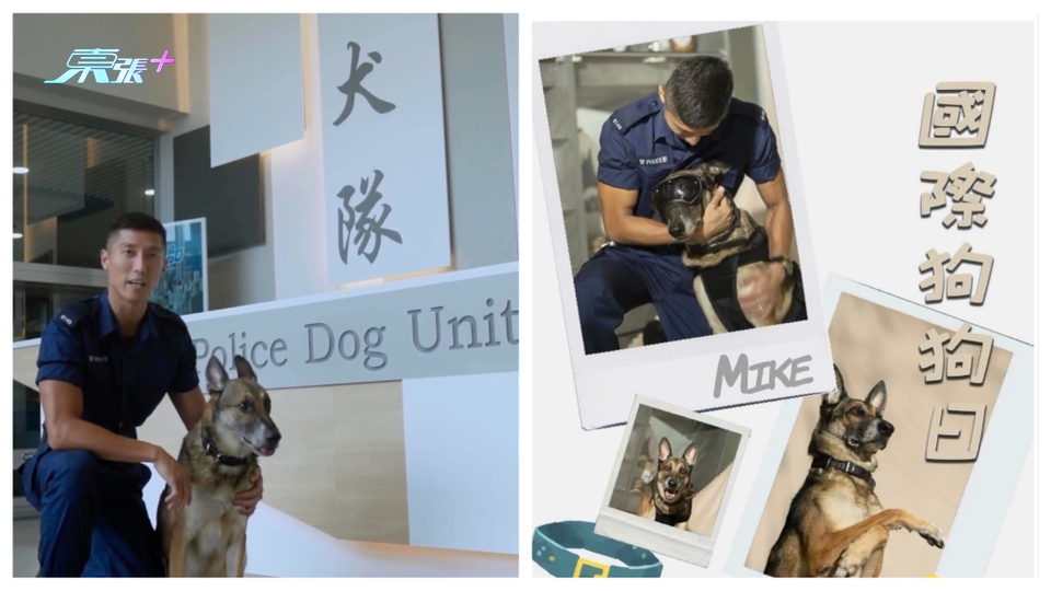 國際狗狗日｜退役警犬獲警員領養成家人 宣揚「領養代替購買」